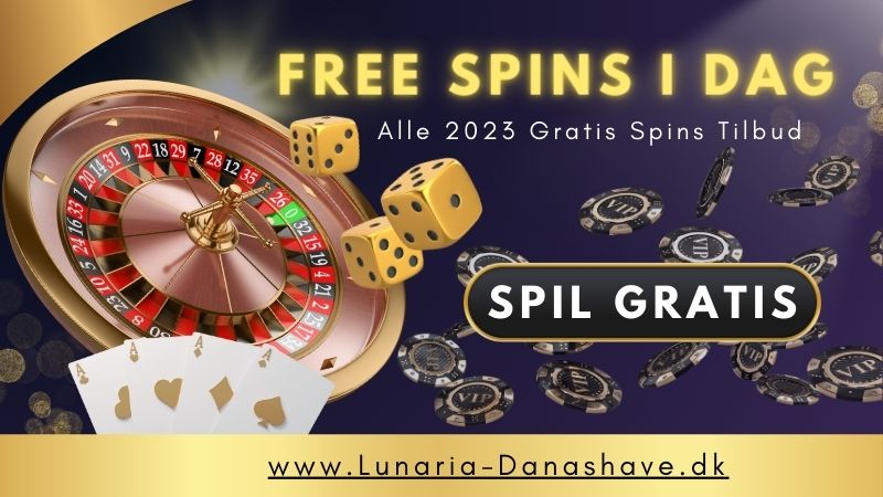 Free Spins i dag bonusser til alle de sjove spilleautomater.